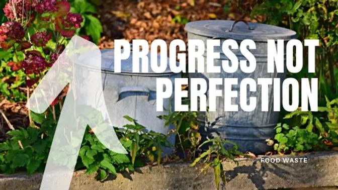 Food Wast, progress not perfection
